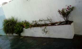 Imagem 2: Alugo ou Vendo Casa Ampla no Caminho das Árvores!!!