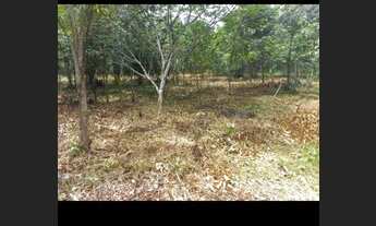 Imagem 5: V/t ou troco terreno na alça viária