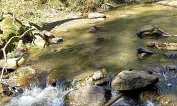 Imagem 2: Terreno com 6 hectares