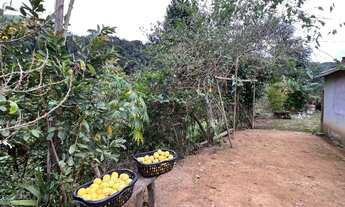 Imagem 2: Vende-se sítio em Rio Possmoser-Santa Maria de Jetibá com muita água