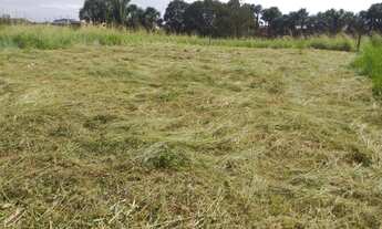 Imagem 3: Terreno na Av Dorval Camilo, Bairro areal