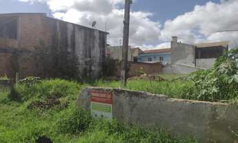 Imagem 2: Terreno para Venda em São José dos Pinhais, Ipê