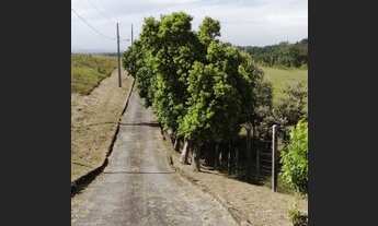 Imagem 4: Sítio 2 Hectares - Morro Albino/Criciúma