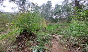 Imagem 6: Atibaia - Terreno Padrão - Bosque dos Eucalíptos