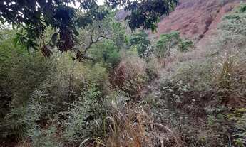 Imagem 4: Vendo Terreno Grande