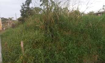 Imagem 5: Terrenos a venda