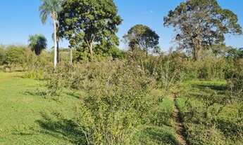 Imagem 4: Chácara 2,5 há, com Rio - 19 km - Terenos - MS 900 metros da BR 262