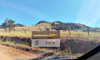 Imagem 2: Fazenda de Oportunidade ! 57 Alqueires - Barro Alto !