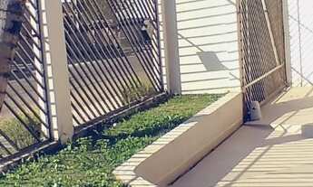 Imagem 7: Linda casa com amplo espaço<br><br&gt