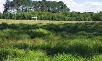 Imagem 7: Sítio Espetacular a venda em Sarapuí 4,6alq Lindo