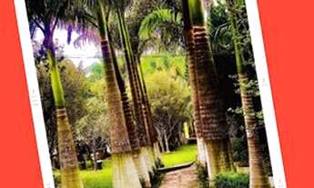 Imagem 3: Vendo terrenos em ibiuna / agende sua visita