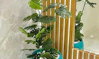 Imagem 2: Mansao em Monte Gordo Guarajuba com 5 suítes