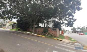 Imagem 5: Canoas - Terreno Padrão - São José