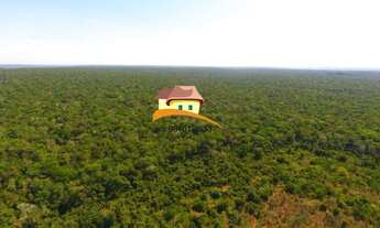 Imagem 7: Fazenda para Venda em Fernando Falcão, Região produtora em expansão