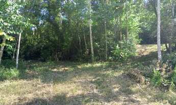 Imagem 5: Terreno com 6 hectares