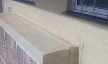 Imagem 3: Apartamento Apartamento com 2 dormitórios