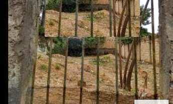 Imagem 7: Terreno à venda, 370 m² por R$ 400.000,00 - Trevo - Belo Horizonte/MG