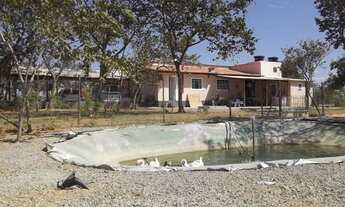 Imagem: Sitio 20.000m² bem localizado, com sauna