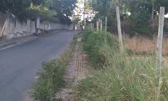 Imagem 4: Vendo excelente lote na linha verde