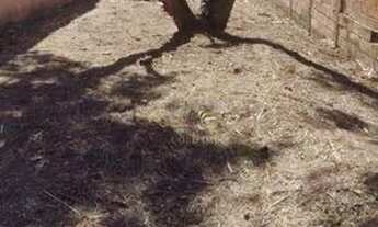 Imagem 4: Terreno à venda, 132 m² por R$ 140.000,00 - Jardim Santa Luzia - São José dos Campos/SP