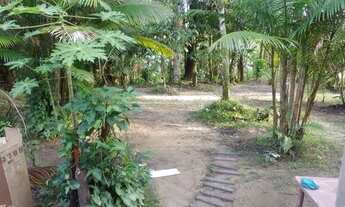 Imagem: Casa com sítio frutífero