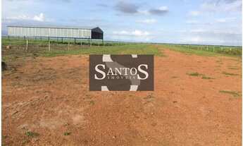 Imagem 5: Uruçuí - Fazenda - Região Rural