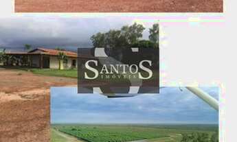 Imagem 4: Uruçuí - Fazenda - Região Rural