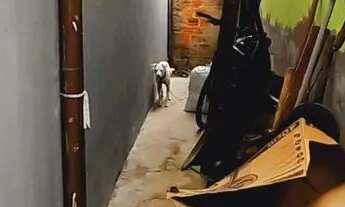 Imagem 6: Casa para trocar