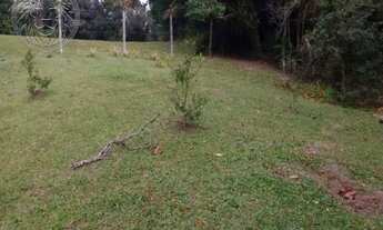 Imagem 6: FLORIANóPOLIS - Terreno Padrão - Ribeirão da Ilha