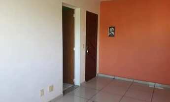 Imagem 5: Apartamento em nova cidade 2 qrts com vaga