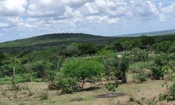 Imagem 5: TERRENO PARA VENDA NA CIDADE DE SANTA TEREZINHA-BA