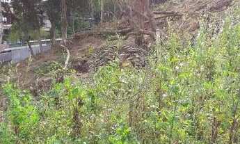 Imagem 4: FLORIANóPOLIS - Terreno Padrão - Carvoeira