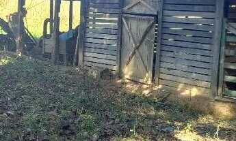 Imagem 7: Venda fazenda Unaí mg escriturada formada rio bem estrururada