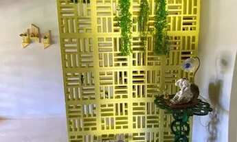 Imagem 5: Sítio em água limpa