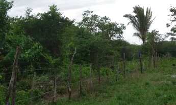 Imagem 4: Lote / terreno em mojó paço do Lumiar