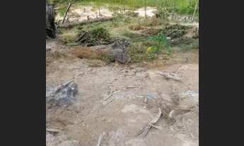 Imagem 2: Vendo esse terreno 8000