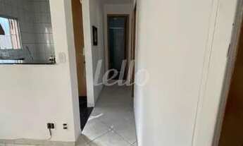 Imagem 5: São Bernardo do Campo - Apartamento Padrão - Vila Baeta Neves