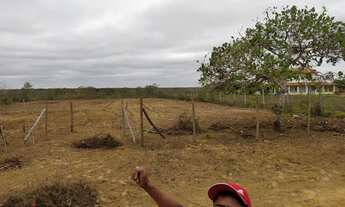 Imagem 4: Tarefas em Água Fria