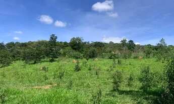 Imagem 3: Fazendinha 20 mil m²,terra ideal pra cultivo, bem localizado, Jaboticatubas