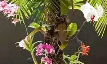 Imagem 2: Casa térrea de 264m² com 05 quartos à venda - City Ribeirão