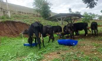 Imagem 4: Venda-se está propriedade de 10,5 (dês alqueires e meio) no Município de Cachoeiro de Ita