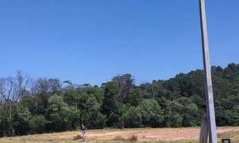 Imagem 2: TERRENO À VENDA - CAMPO LARGO / PR