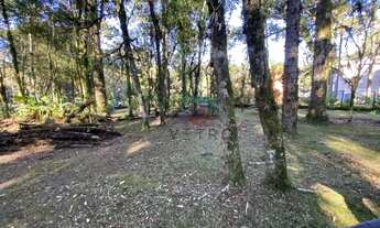 Imagem 3: Terreno à Venda em Canela, na Vila Suzana!