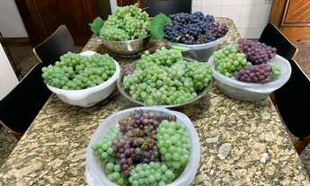 Imagem 5: Sobrado na Vila Maria, 03 suítes