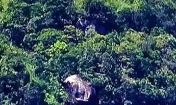 Imagem 2: Casa Residencial com 5 quartos à venda, 240m² - Jardim Botânico - Rio de Janeiro-RJ