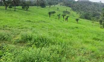 Imagem 6: Terreno situado em Marechal Deodoro- AL na beira da Lagoa com 41 hectares