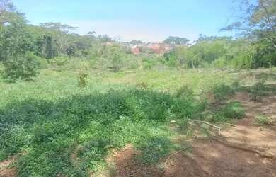 Imagem 2: Aluguel pasto Chácara com aluguel por R$400 /mês