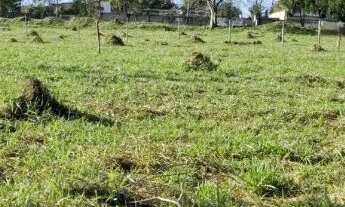 Imagem: Oportunidade Terreno de 982 m2 próximo