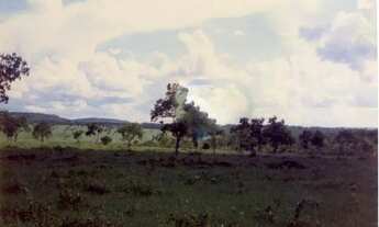 Imagem 5: Fazenda Brasília de Minas MG