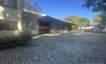 Imagem 6: GALPÃO - PARQUE NOVO MUNDO - SP